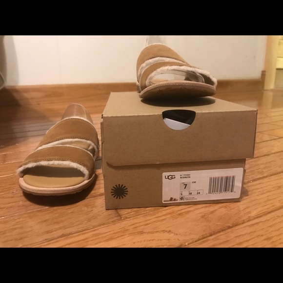 Ugg evalita - Picture 4 of 5